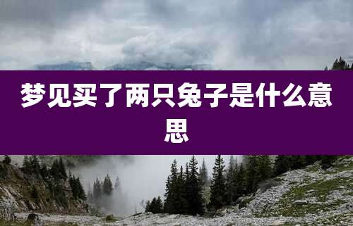 梦见买了两只兔子是什么意思