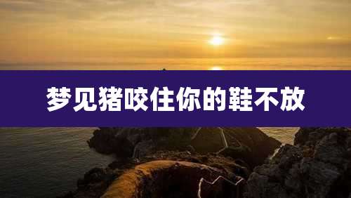 梦见猪咬住你的鞋不放