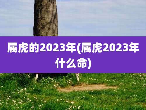 属虎的2023年(属虎2023年什么命)