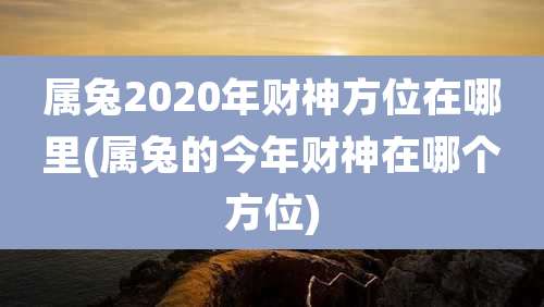 属兔2020年财神方位在哪里(属兔的今年财神在哪个方位)