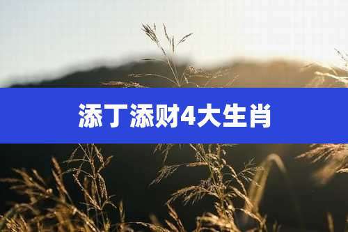 添丁添财4大生肖