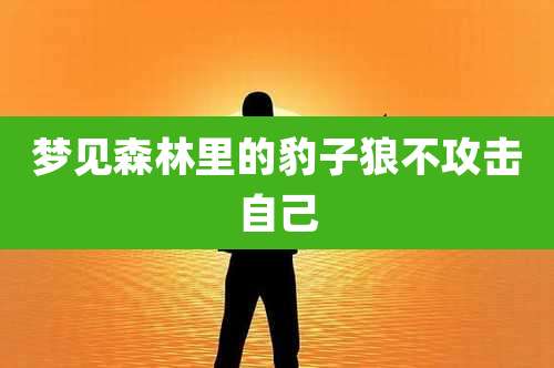 梦见森林里的豹子狼不攻击自己