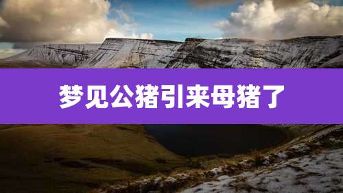 梦见公猪引来母猪了