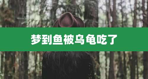 梦到鱼被乌龟吃了