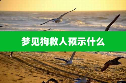 梦见狗救人预示什么