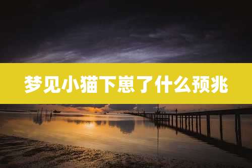 梦见小猫下崽了什么预兆