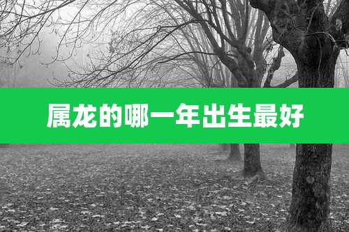 属龙的哪一年出生最好