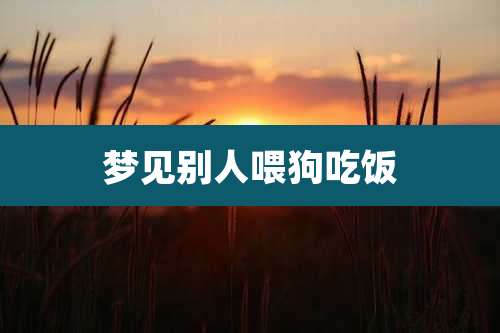 梦见别人喂狗吃饭