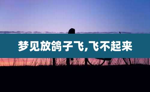 梦见放鸽子飞,飞不起来