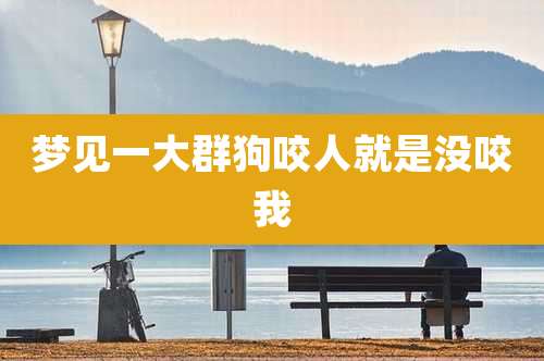 梦见一大群狗咬人就是没咬我