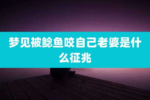 梦见被鲶鱼咬自己老婆是什么征兆
