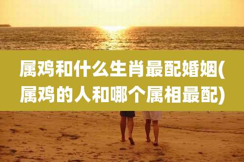 属鸡和什么生肖最配婚姻(属鸡的人和哪个属相最配)