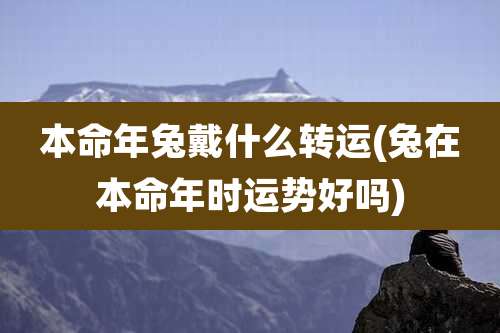 本命年兔戴什么转运(兔在本命年时运势好吗)