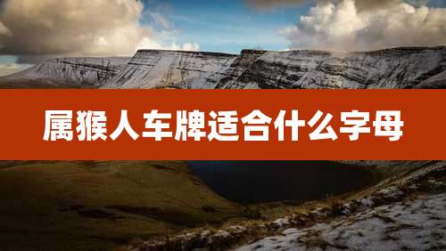 属猴人车牌适合什么字母