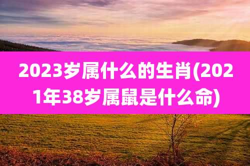 2023岁属什么的生肖(2021年38岁属鼠是什么命)