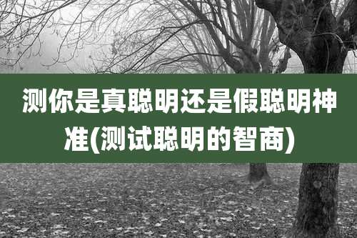 测你是真聪明还是假聪明神准(测试聪明的智商)