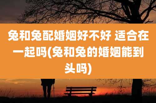 兔和兔配婚姻好不好 适合在一起吗(兔和兔的婚姻能到头吗)