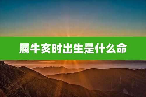 属牛亥时出生是什么命