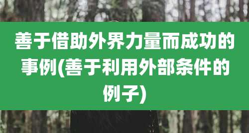 善于借助外界力量而成功的事例(善于利用外部条件的例子)