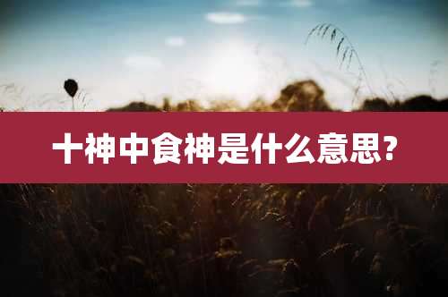 十神中食神是什么意思?