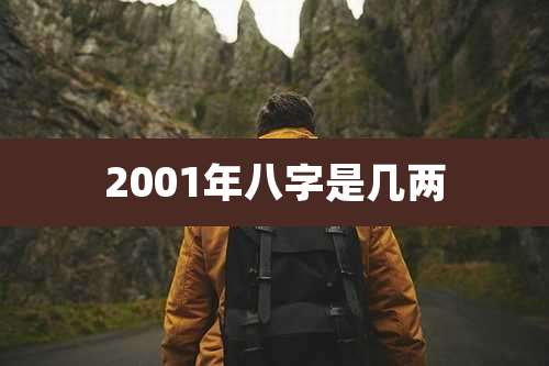 2001年八字是几两