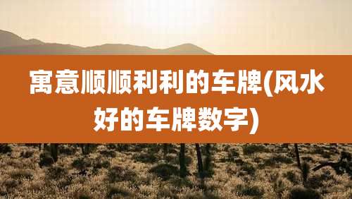 寓意顺顺利利的车牌(风水好的车牌数字)