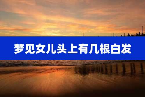 梦见女儿头上有几根白发