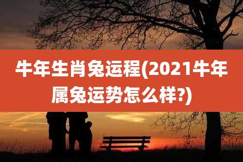 牛年生肖兔运程(2021牛年属兔运势怎么样?)