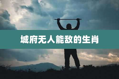 城府无人能敌的生肖