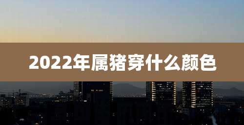 2022年属猪穿什么颜色