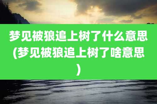 梦见被狼追上树了什么意思(梦见被狼追上树了啥意思)