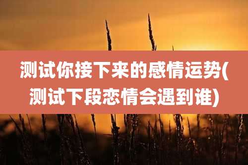 测试你接下来的感情运势(测试下段恋情会遇到谁)