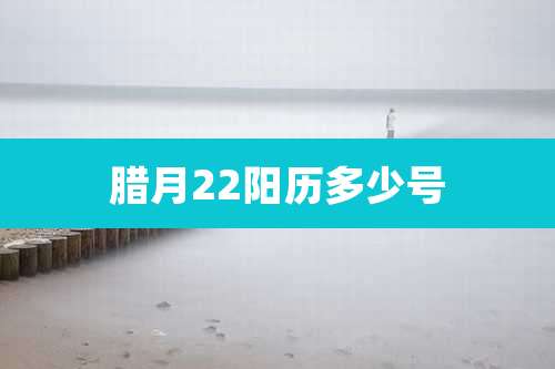 腊月22阳历多少号