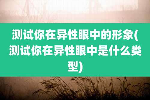 测试你在异性眼中的形象(测试你在异性眼中是什么类型)