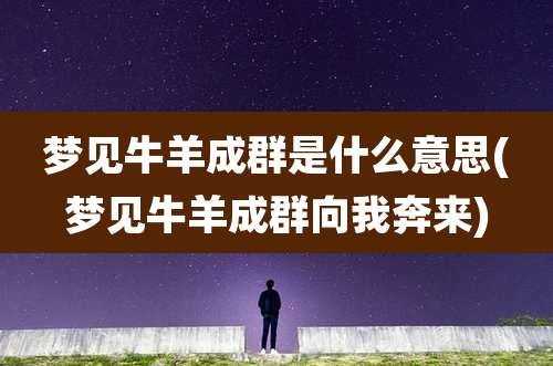 梦见牛羊成群是什么意思(梦见牛羊成群向我奔来)