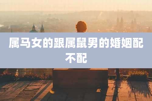 属马女的跟属鼠男的婚姻配不配