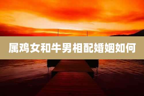 属鸡女和牛男相配婚姻如何