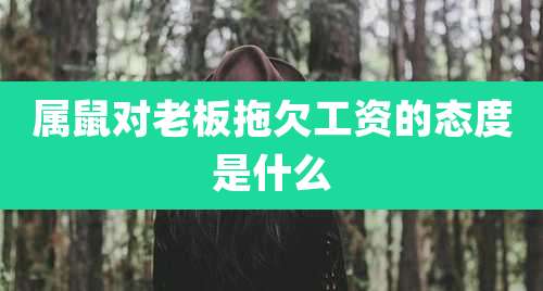 属鼠对老板拖欠工资的态度是什么