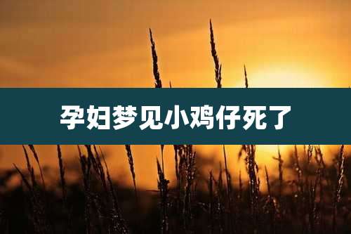 孕妇梦见小鸡仔死了