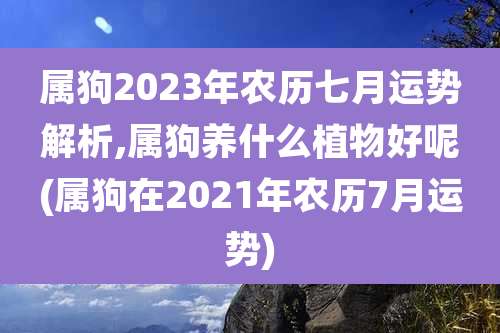 属狗2023年农历七月运势解析,属狗养什么植物好呢(属狗在2021年农历7月运势)