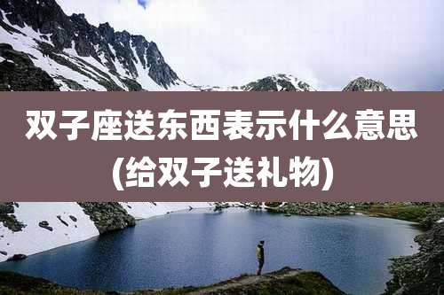 双子座送东西表示什么意思(给双子送礼物)