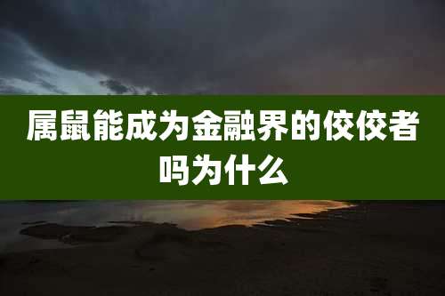 属鼠能成为金融界的佼佼者吗为什么