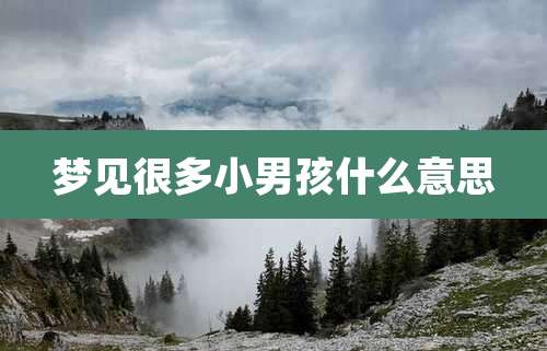 梦见很多小男孩什么意思