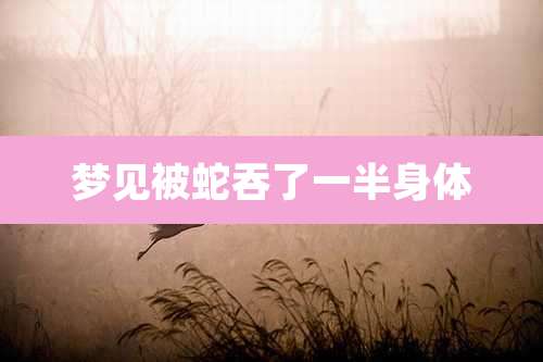梦见被蛇吞了一半身体