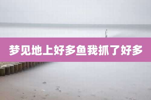 梦见地上好多鱼我抓了好多