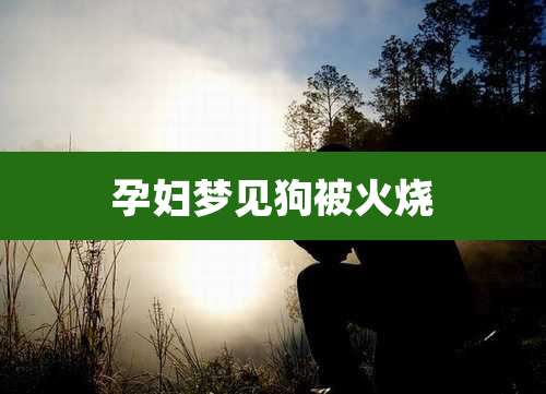 孕妇梦见狗被火烧