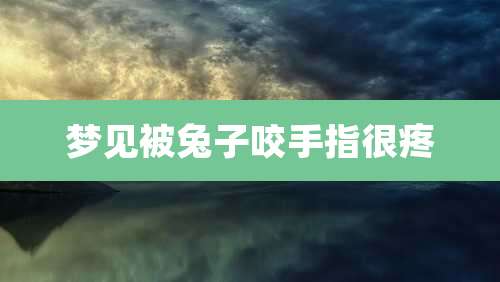 梦见被兔子咬手指很疼