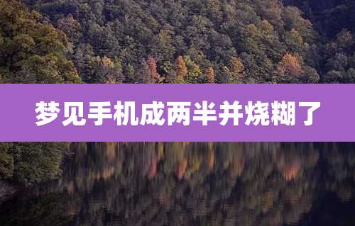 梦见手机成两半并烧糊了
