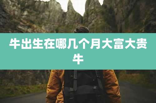 牛出生在哪几个月大富大贵牛