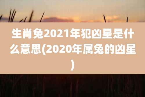 生肖兔2021年犯凶星是什么意思(2020年属兔的凶星)